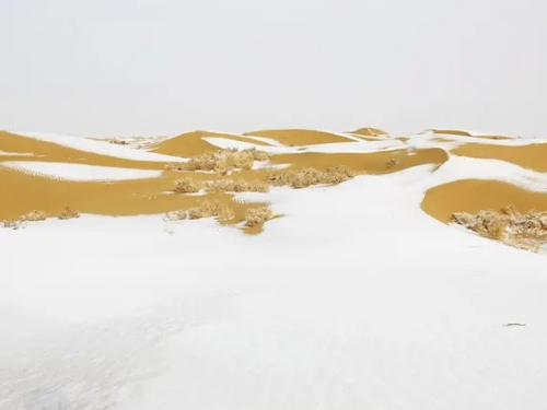 大漠沙如雪下一句是什么